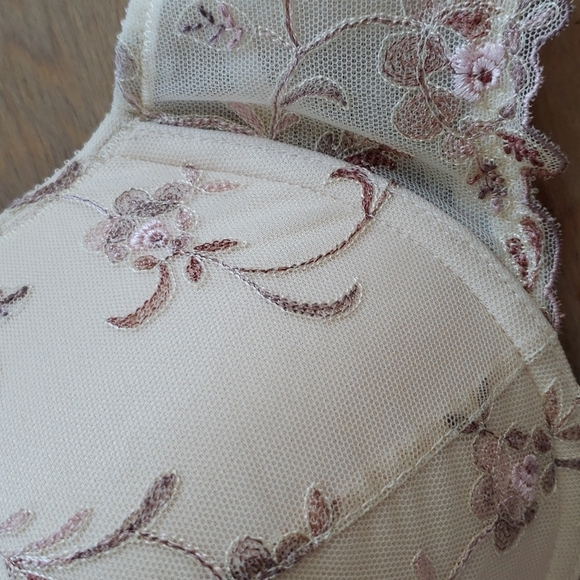 FELINA LACE PUSH UP EMBROIDERED LACE BRA SZ 36B - Picture 4 of 13